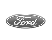 SMM Service for Ford
