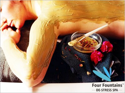 Search Engine Optimization Case Study for Four Fountain Spa
